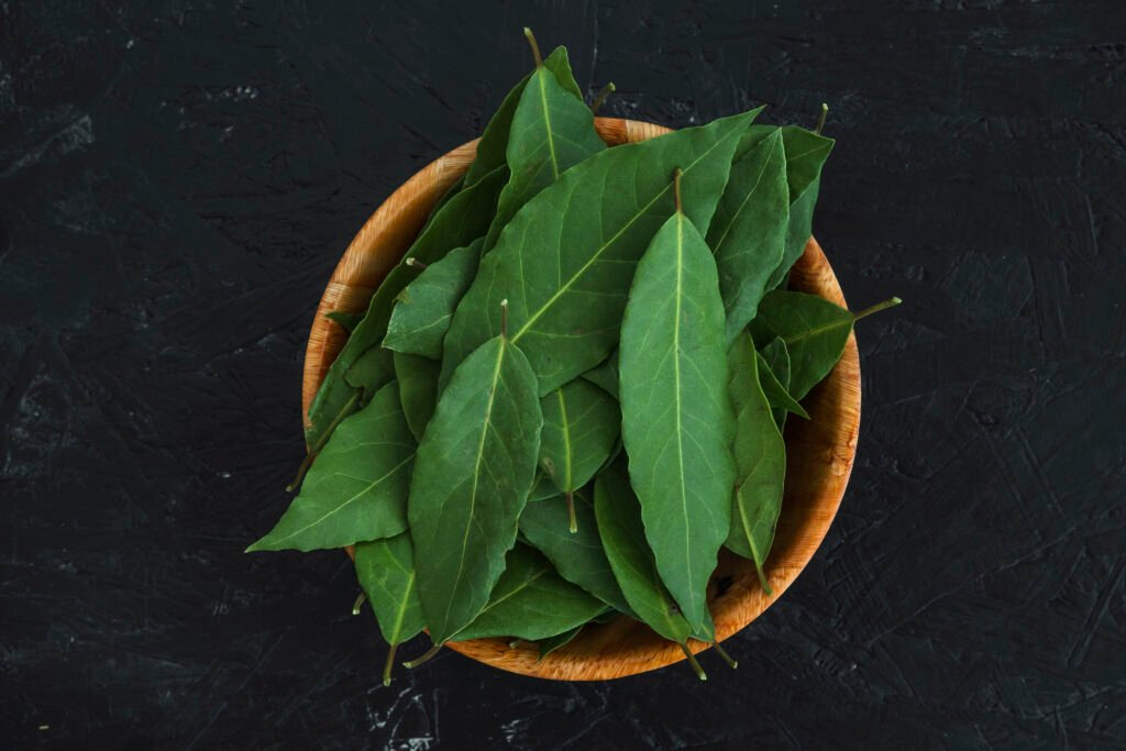 Neem Leaves